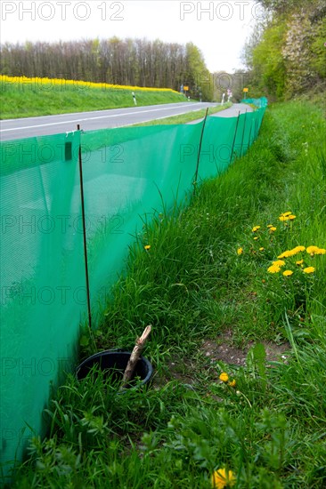 Amphibian protection fence