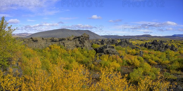 Tuffring Hverfjall with autumn coloured birch vegetation