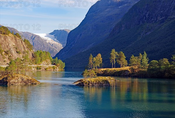 Row of trees reflected in a lake