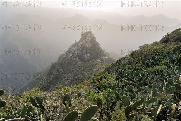 View of rock formation and mountain range in the evening haze