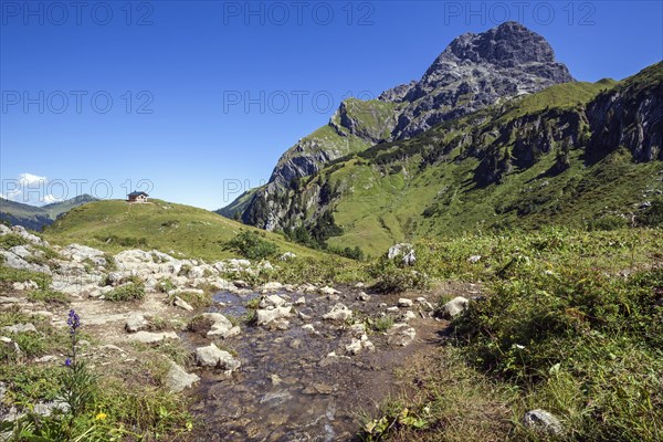 Mountain stream in the Baergunttal