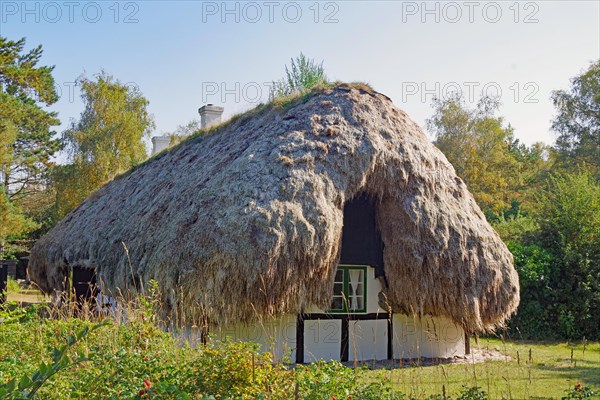 Houses with roofs made of seaweed