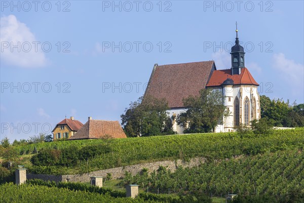 Pilgrimage church Maria im Weingarten