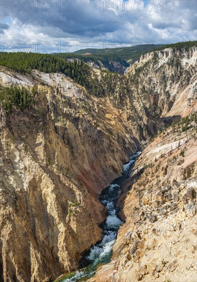 River flowing through Sulphur Canyon