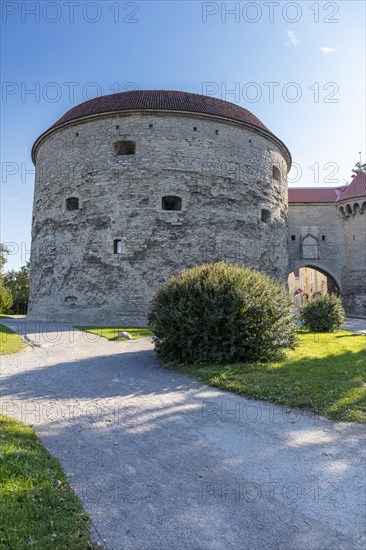 City wall and Dicke Margarethe