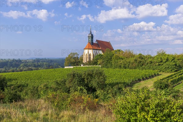 Pilgrimage church Maria im Weingarten