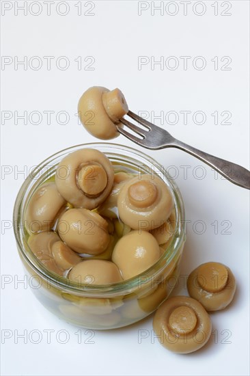 Canned common mushrooms