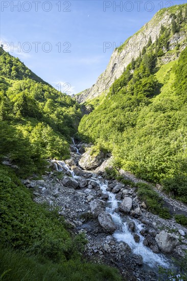 Mountain stream