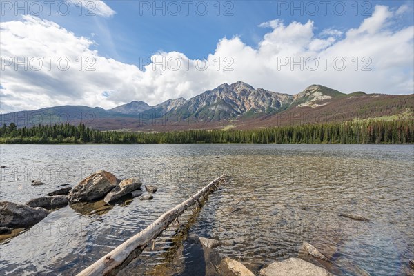 Rocks and tree trunks on the shore of Pyramid Lake