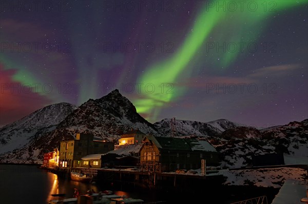 Small harbour with illuminated houses