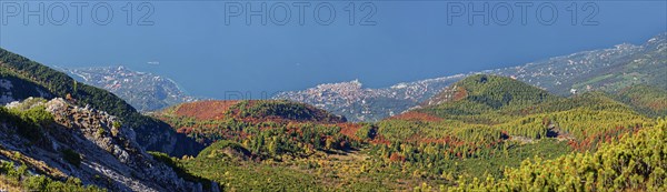 Lake Garda panorama