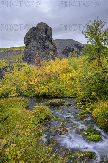 Colourful autumn colours by a stream