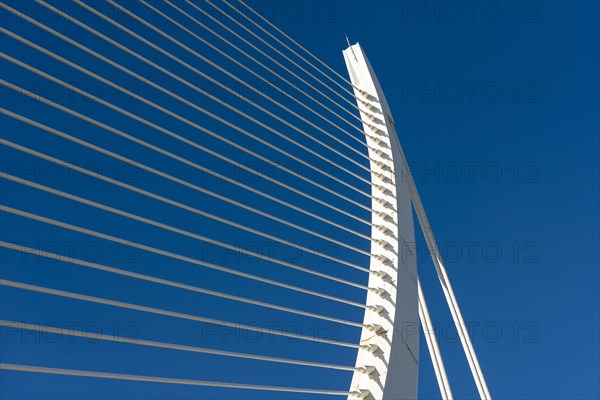 Cable-stayed Assut de l'Or Bridge