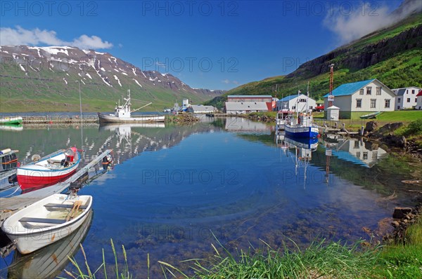 Small fishing boats reflected in the harbour basin