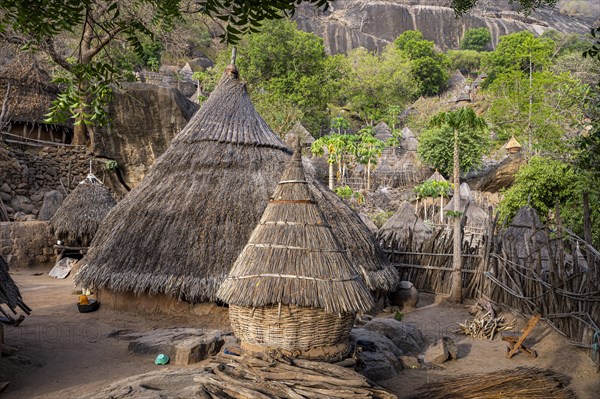 Tradtional build huts