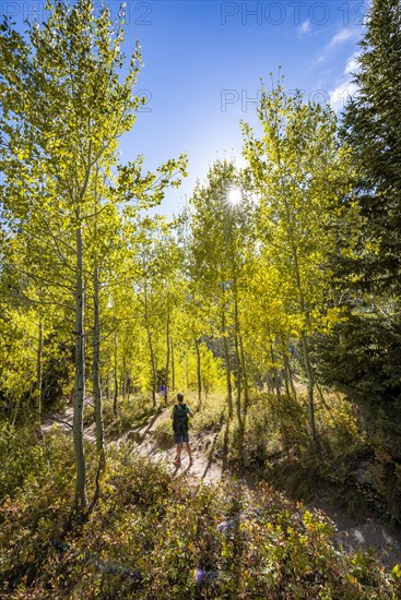 Young man on hiking trail