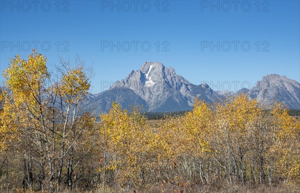 Mount Moran