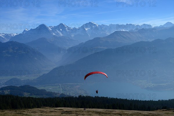 Paraglider on the Niederhorn