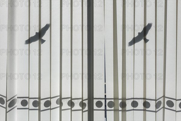 Office window with bird sticker against bird strike