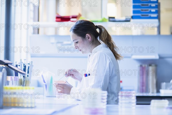 Lab technician with sample in petri dish working in a lab with lab equipment