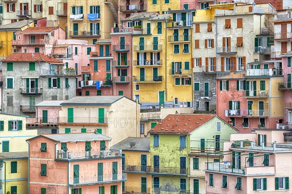 Manarola