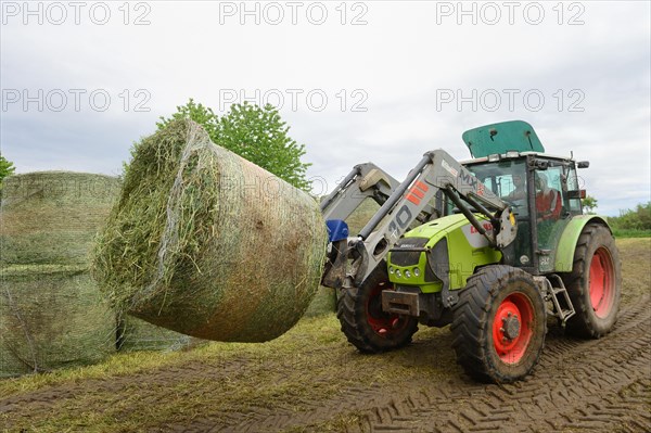 Farmer harvesting alfalfa