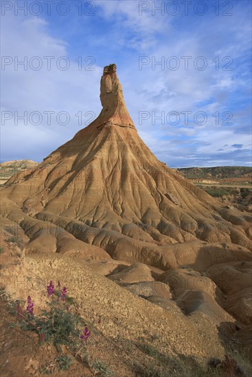 Bardenas Reales