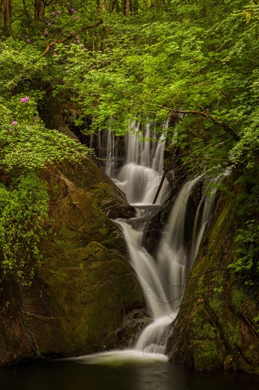 Dyfi Furnace