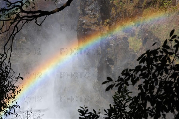 Victoria falls