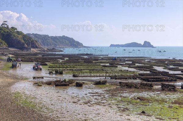 Oyster Farm in Cancale