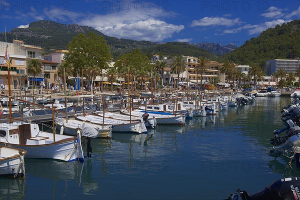 Soller