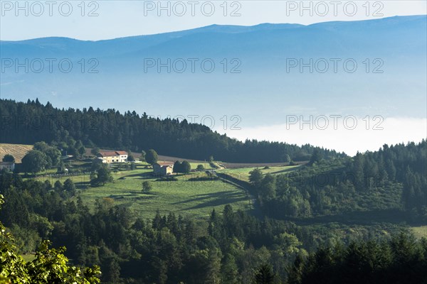 Haut Forez landscape in the Livradois-Forez Regional Nature Park