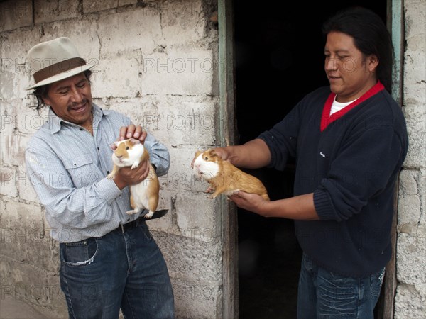 Man buying guinea pigs