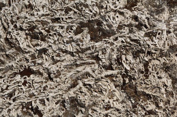 Macro shot detail of stone in Laodikya Ancient Town