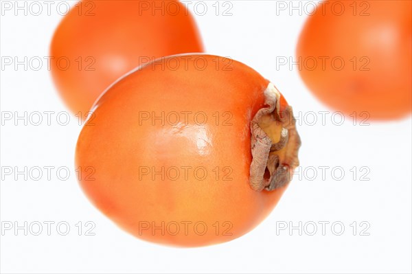 Japanese persimmon