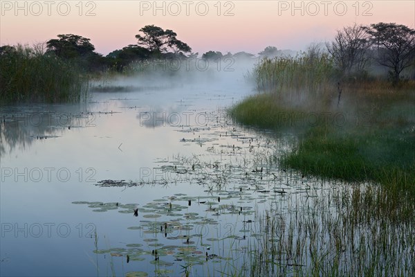 Kwando River