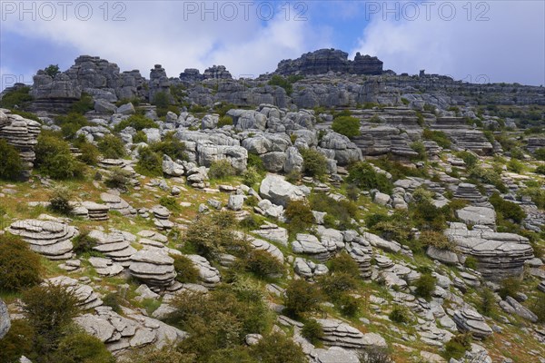 Torcal de Antequera