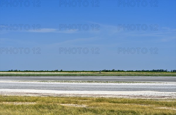 Hut pastures with salt efflorescence in the preservation zone of the Lange Lacke