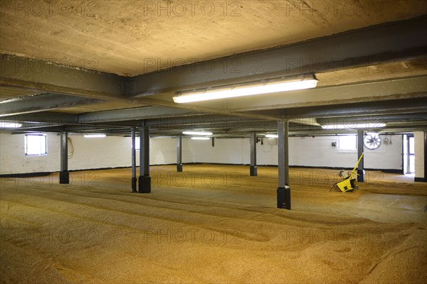 Malting Floors