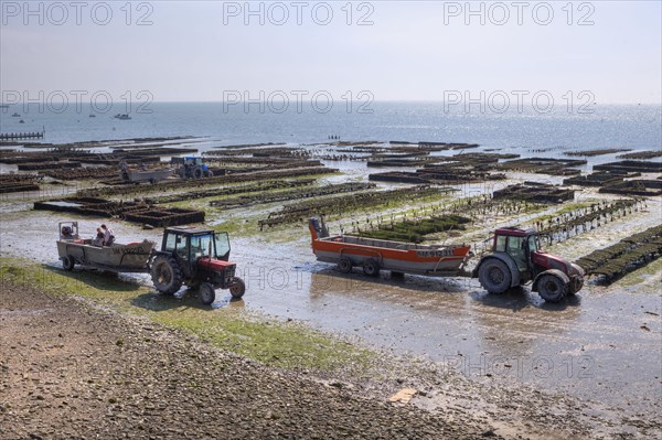 Oyster Farm in Cancale