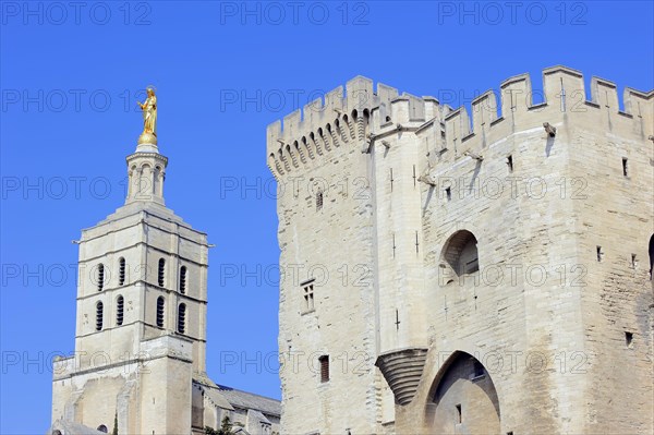 Papal Palace and Cathedral Notre-Dame des Doms