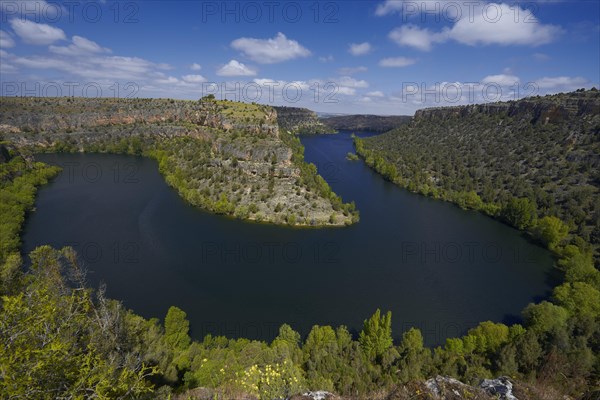 Hoces del Duraton