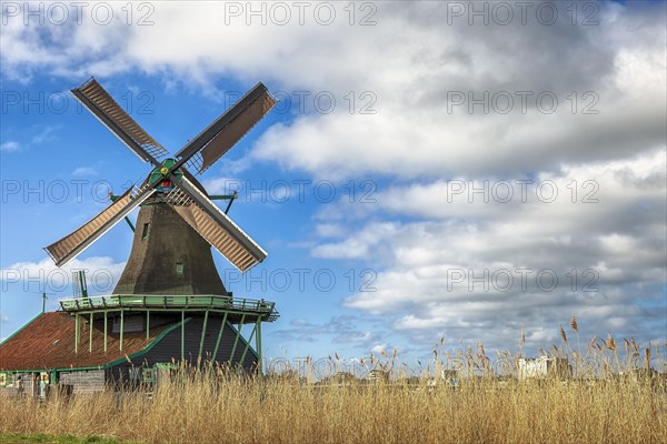 Zaanse Schans