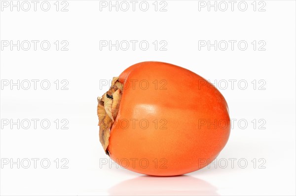 Japanese persimmon