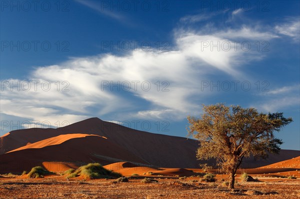 Sand dune