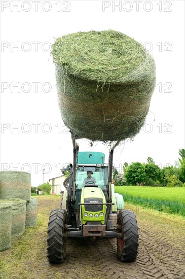 Farmer harvesting alfalfa