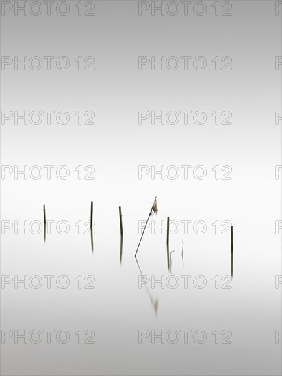 A fishing net at the dam of the Rantum basin on the island of Sylt