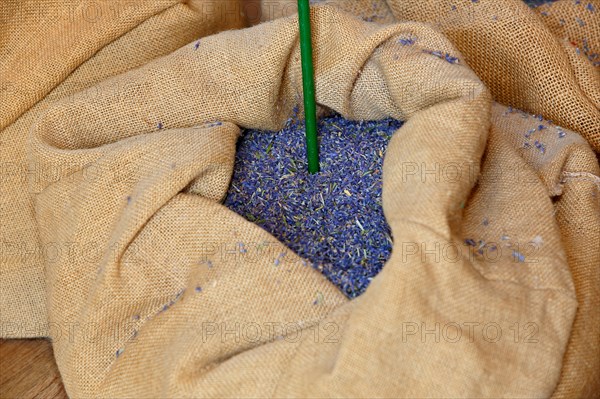 Dried lavender