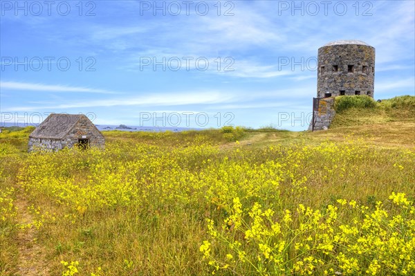 La Rousse Tower