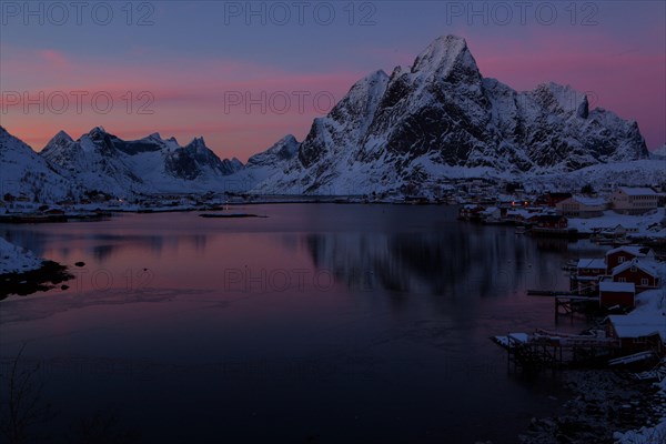 Reine